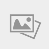 Удилище SHIMANO ZODIAS CASTING 6'6